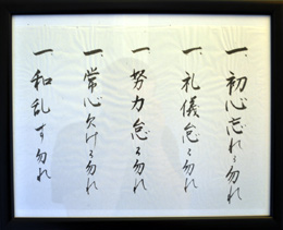 Godoshin Godoshin image